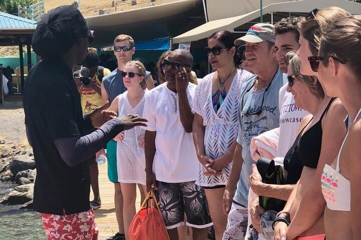 Mini Speedboat Coastal Adventure in St Kitts — Snorkel with Turtles & Ride to Frigate Bay photo 6