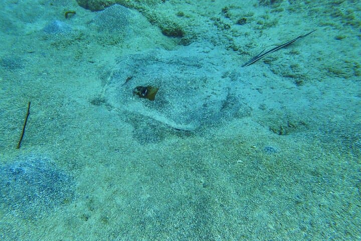 Family Snorkeling Tour in Puerto Rico — Swim with Sea Turtles photo 2