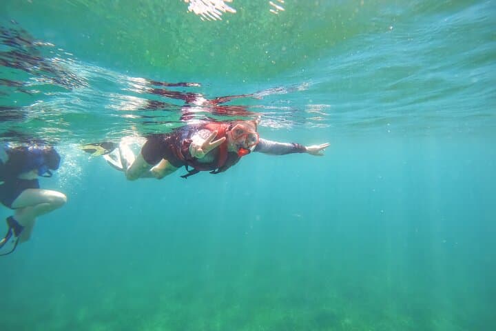 Family Snorkeling Tour in Puerto Rico — Swim with Sea Turtles photo 5