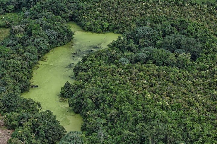 Self-Guided Arenal Park Walk — Lava Flows, Lake Los Patos & Wildlife photo 6