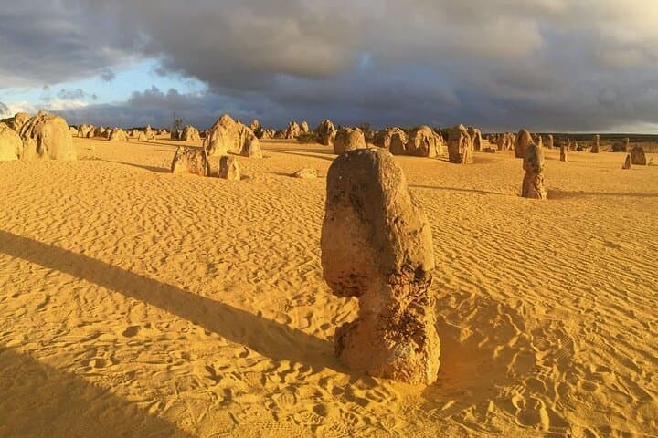 Pinnacles Day Tour from Perth — Yanchep, Nambung Pinnacles & Lancelin Dunes photo 2