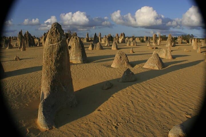 Pinnacles Desert to Swan Valley Day Tour from Perth photo 3