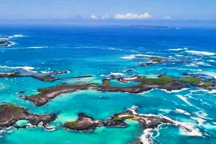 Galapagos Island Hopping & Diving: 6-Day Land-Based Snorkel and Dive Adventure photo 6