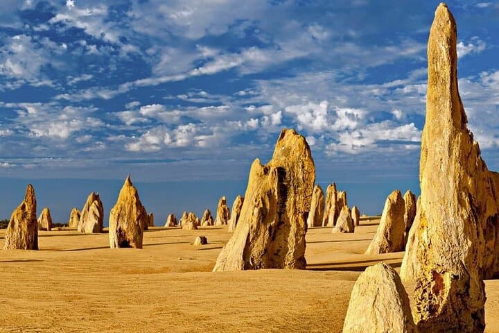 Pinnacles Express: Half-Day Tour from Perth to Nambung National Park