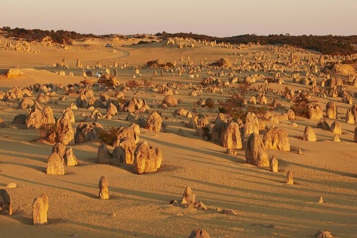 Pinnacles Express: Half-Day Tour from Perth to Nambung National Park photo 2
