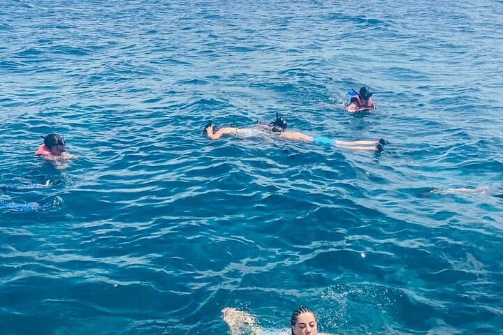 Isla Saona VIP Day Trip from Punta Cana — Beaches, Snorkel & Turtle Sanctuary photo 4