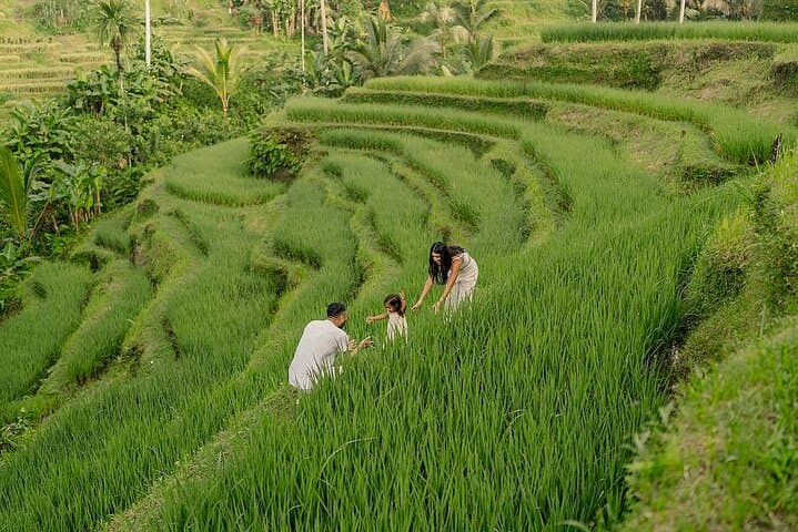 Custom Ubud Private Day Tour with Local Driver — Design Your Perfect Day