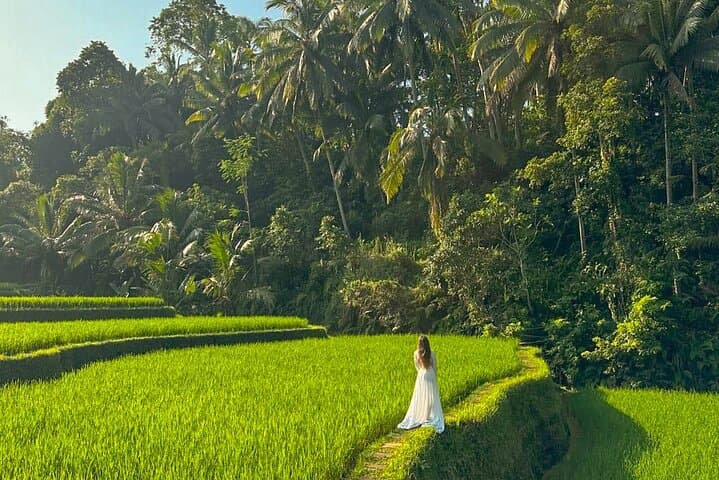 Custom Ubud Private Day Tour with Local Driver — Design Your Perfect Day photo 2