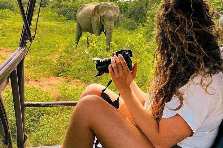 Arugam Bay to Mirissa: Yala National Park Safari & Shuttle Adventure photo 1