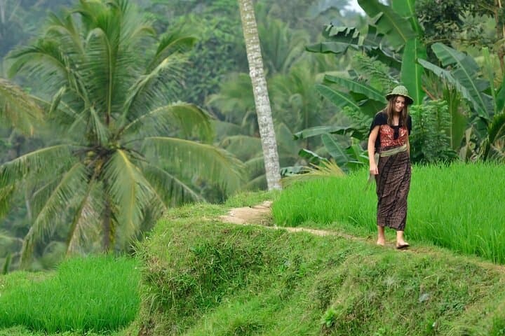 Half-Day Ubud Rice Terrace Tour with Waterfall, Swing and Zipline photo 2