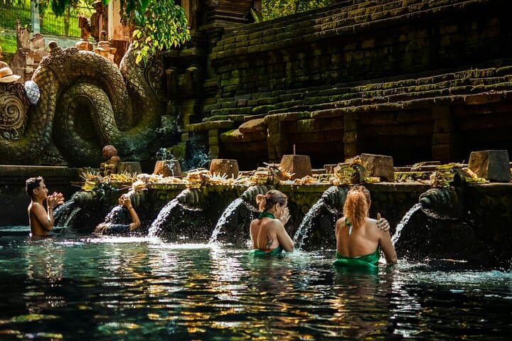 Ubud Jungle Swing, Monkey Forest, Tegalalang Rice Terraces & Tirta Empul Temple Tour photo 4