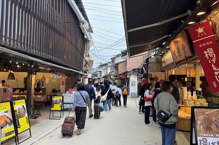 Hiroshima and Miyajima in One Day: Peace Park, Itsukushima Shrine & Ferry Experience photo 2