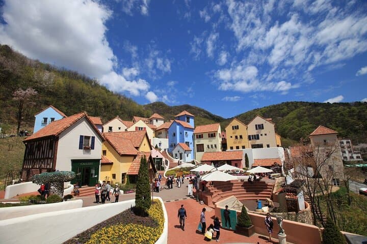Seoul to Nami Island, Petite France & Garden of Morning Calm — Private 9-Hour Day Tour