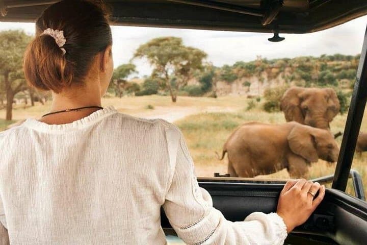 Pilanesberg Full-Day Safari from Johannesburg: Open 4x4 Big Five Experience with Lunch photo 1