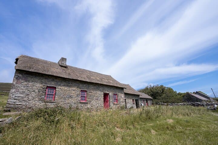 Sheepdog Demonstrations and Beehive Huts on Slea Head photo 6