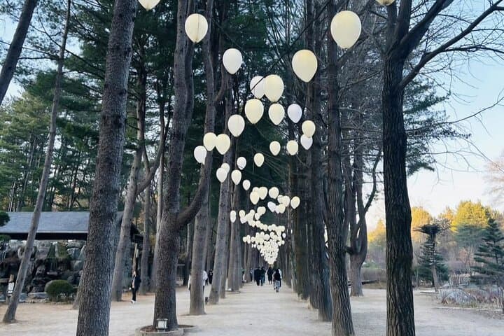 Nami Island, Petite France & Gyeonggang Railbike: Full-Day Private Tour from Seoul photo 6