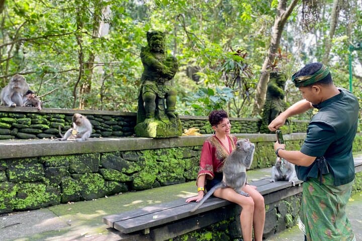 Private Ubud Full-Day: Monkey Forest, Tegallalang Rice Terraces, Tirta Empul & Coffee Plantation photo 4