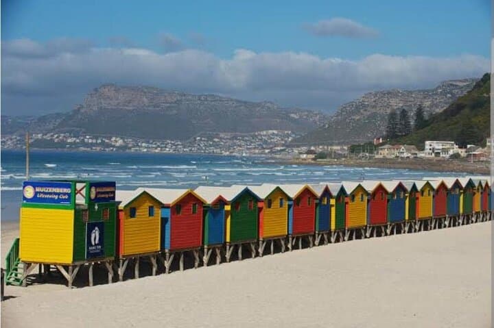 Cape of Good Hope & Boulders Beach Penguins: Full-Day Private Tour from Cape Town photo 2