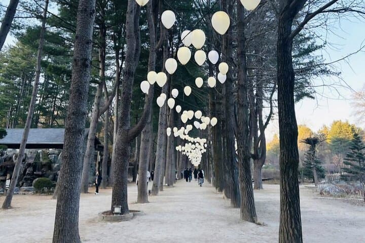 Nami Island & Elysian Ski Resort: Private Day Tour from Seoul photo 2