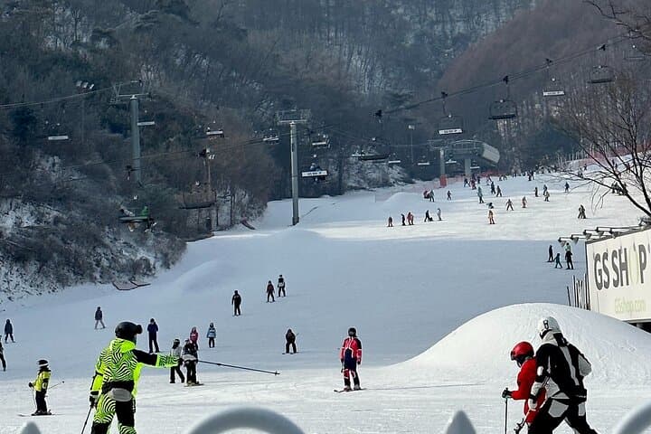 Nami Island & Elysian Ski Resort: Private Day Tour from Seoul photo 6