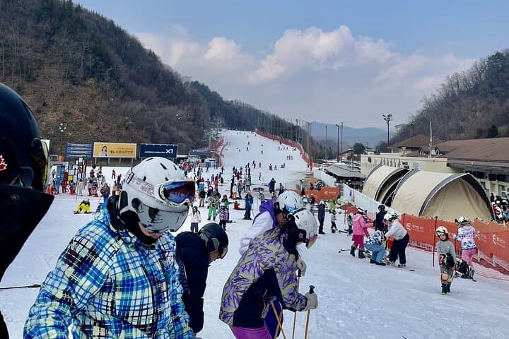 Nami Island & Elysian Ski Resort: Private Day Tour from Seoul photo 5