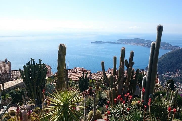 Eze to Monte‑Carlo Full‑Day Shared Coastal Tour from Nice — Scenic Drive, Eze Village & Fragonard photo 2