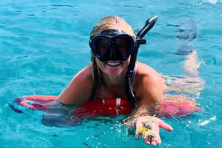Half-Day Turtle Snorkel and Honeymoon Beach Catamaran in St. Thomas photo 2