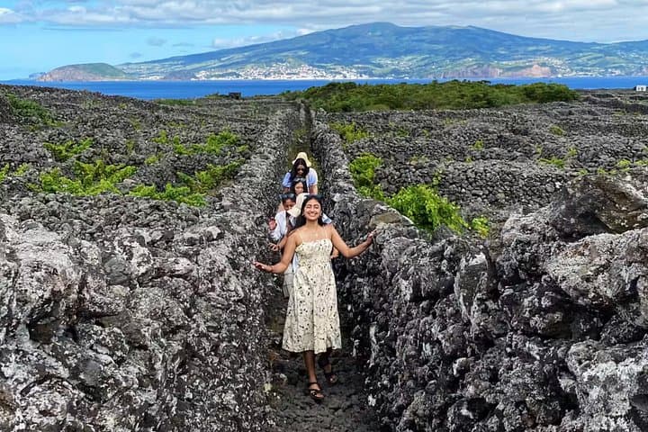 Luxury Czar Pico Wine Tasting & Volcanic Vineyard Walk on Pico Island photo 2