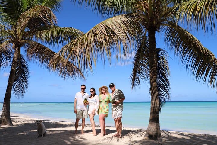 Saona Island VIP Day Trip from Punta Cana — Small Group Boat Tour photo 3