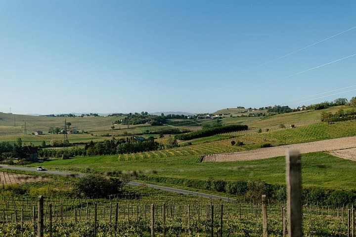 Agliano Terme Winery Tour & Tasting — Family Cellars and Piedmont Wines photo 4