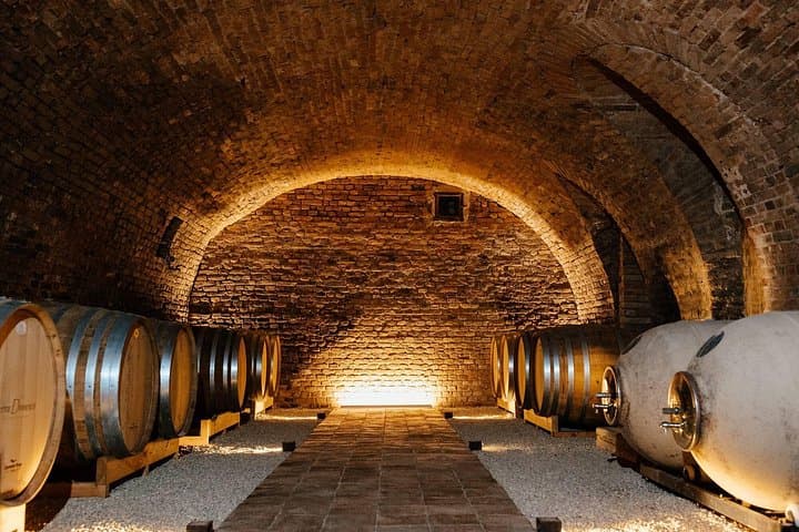 Agliano Terme Winery Tour & Tasting — Family Cellars and Piedmont Wines photo 1