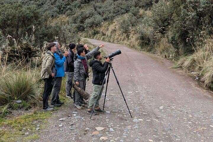 5-Hour Monteverde Cloud Forest Birdwatching & Photography Tour photo 3