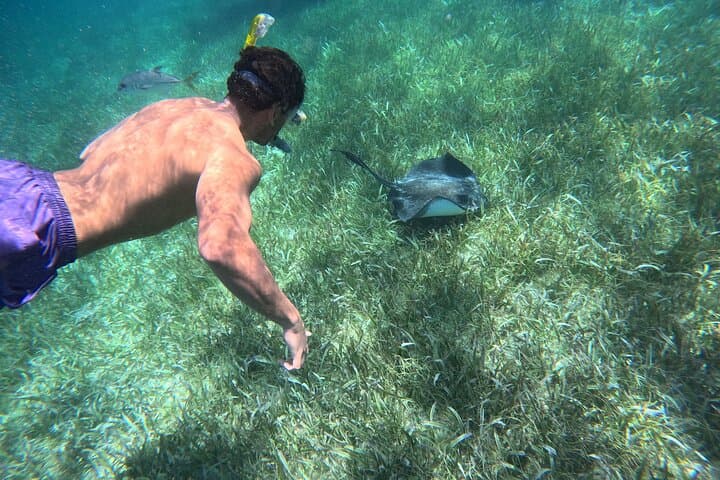 Off-the-Beaten-Path Snorkel: Stingray City & Tres Cocos Reef Near San Pedro photo 3