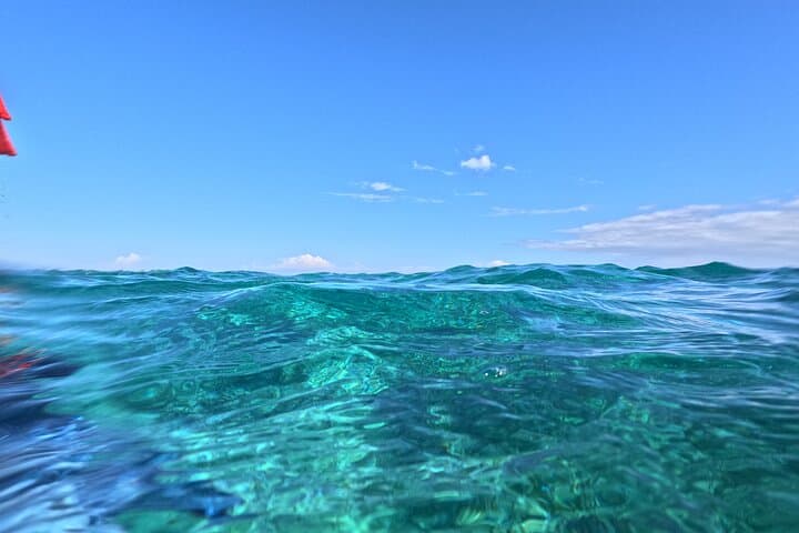 Off-the-Beaten-Path Snorkel: Stingray City & Tres Cocos Reef Near San Pedro photo 6