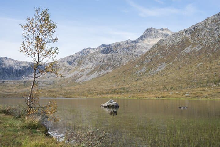 Tromsø Fjord Tour to Sommarøy in Spanish — Midnight Sun & Arctic Culture photo 5