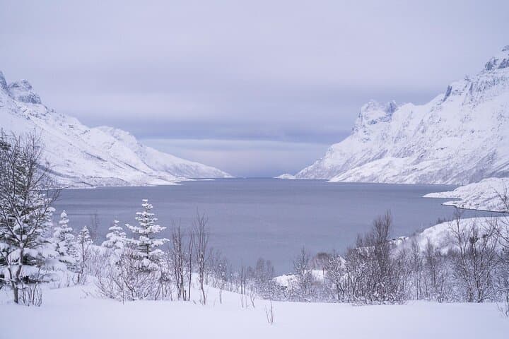 Tromsø Fjord Tour to Sommarøy in Spanish — Midnight Sun & Arctic Culture photo 6