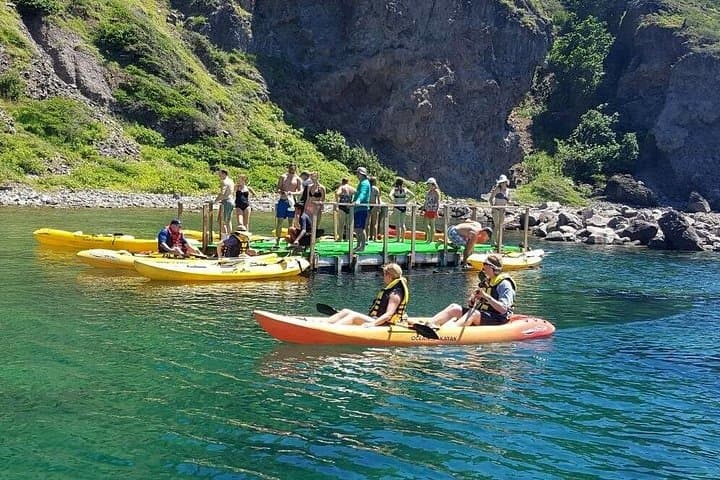 St. Kitts Kayak, Snorkel and Frigate Bay Beach Adventure photo 4