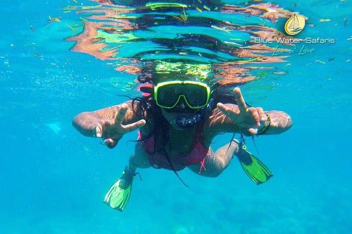 St. Kitts Kayak, Snorkel and Frigate Bay Beach Adventure photo 5