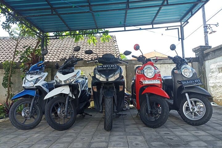 Explore Bali by Scooter: Seminyak Day-Ride Through Backroads & Beaches photo 4