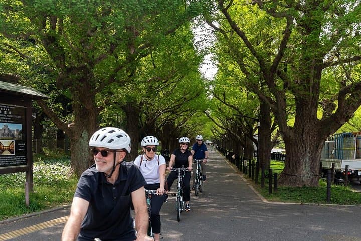 Tokyo Private E-Bike Tour from Your Hotel — 3-Hour Guided City Ride photo 3
