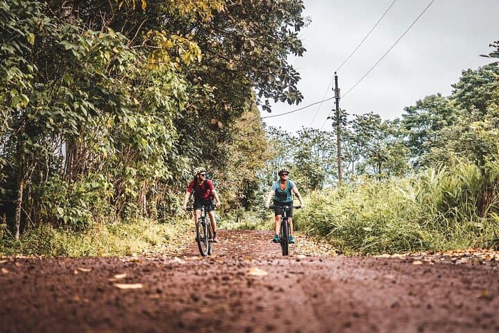 Santa Cruz Highlands Bike Tour: Giant Tortoises, Los Gemelos & Lava Tube Adventure