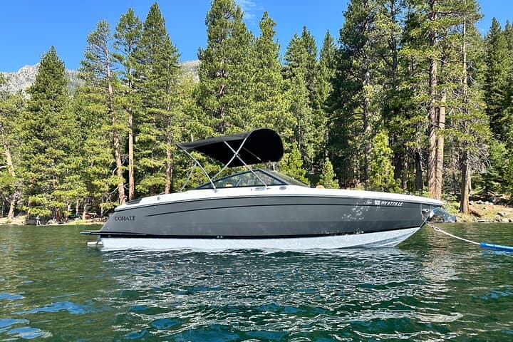 Private Lake Tahoe Boat Tour to Emerald Bay — Luxury Cobalt R6 Charter photo 1