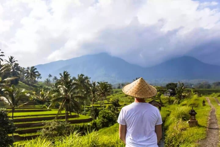 Private Full-Day Bali Tour: Custom Driver-Led Stops to Rice Terraces, Temples & Waterfalls photo 4