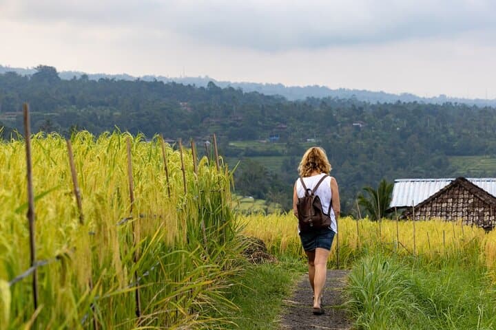 Hidden Bali Gems: Sekumpul Waterfall, Batukaru Temple & Jatiluwih Rice Terraces Day Trip photo 2