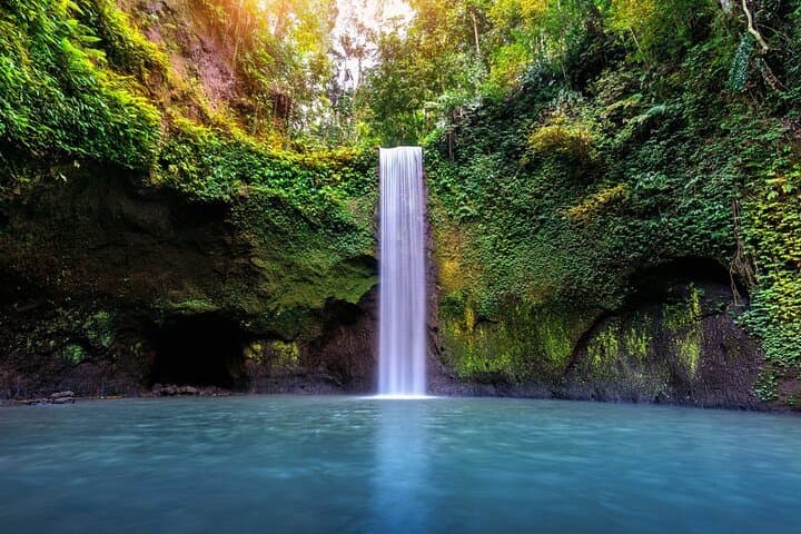 Private Full-Day Bali Tour: Custom Driver-Led Stops to Rice Terraces, Temples & Waterfalls photo 2