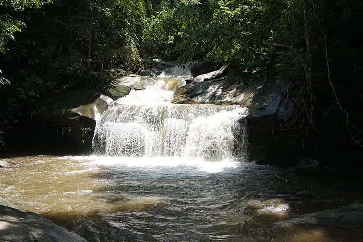 Full-Day Doi Inthanon Jungle Trek from Chiang Mai: Waterfalls, Mossy Forests & Local Lunch photo 1