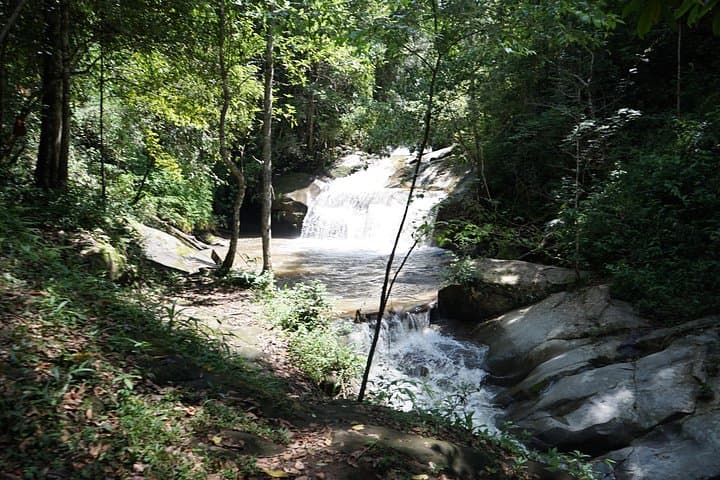 Full-Day Doi Inthanon Jungle Trek from Chiang Mai: Waterfalls, Mossy Forests & Local Lunch photo 2