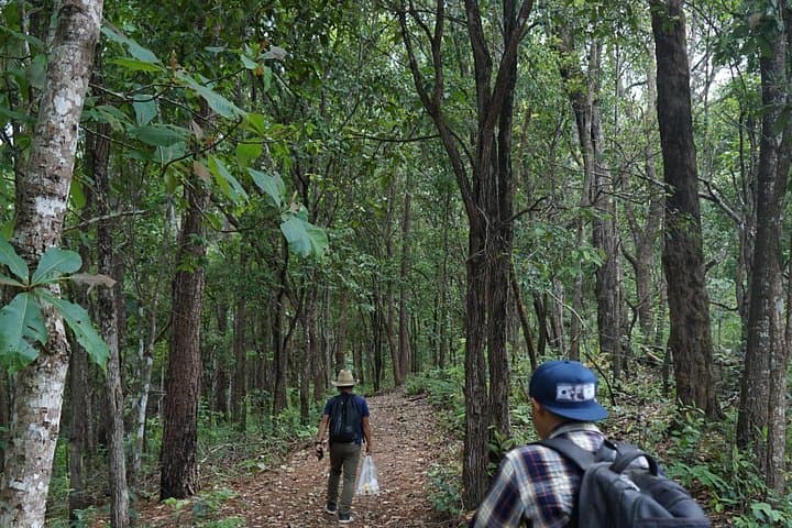 Full-Day Doi Inthanon Jungle Trek from Chiang Mai: Waterfalls, Mossy Forests & Local Lunch photo 3