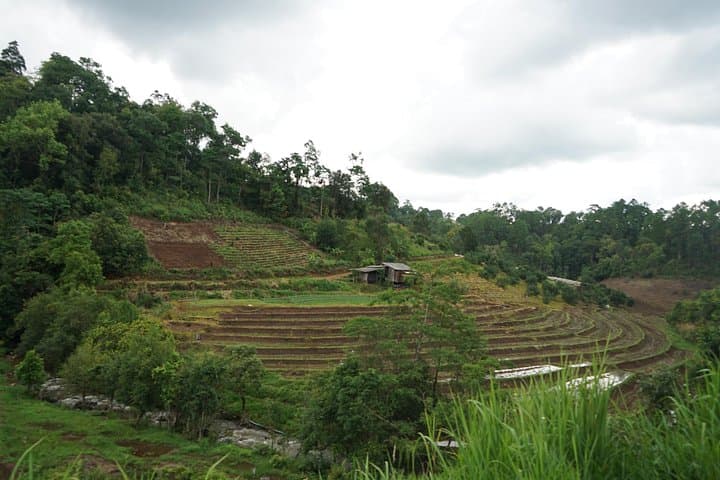 Chiang Mai Private Day Trekking: Forest Trails, Hill‑Village Encounters & Local Lunch photo 1