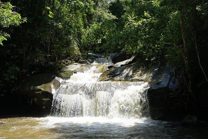 Chiang Mai Private Day Trekking: Forest Trails, Hill‑Village Encounters & Local Lunch photo 4